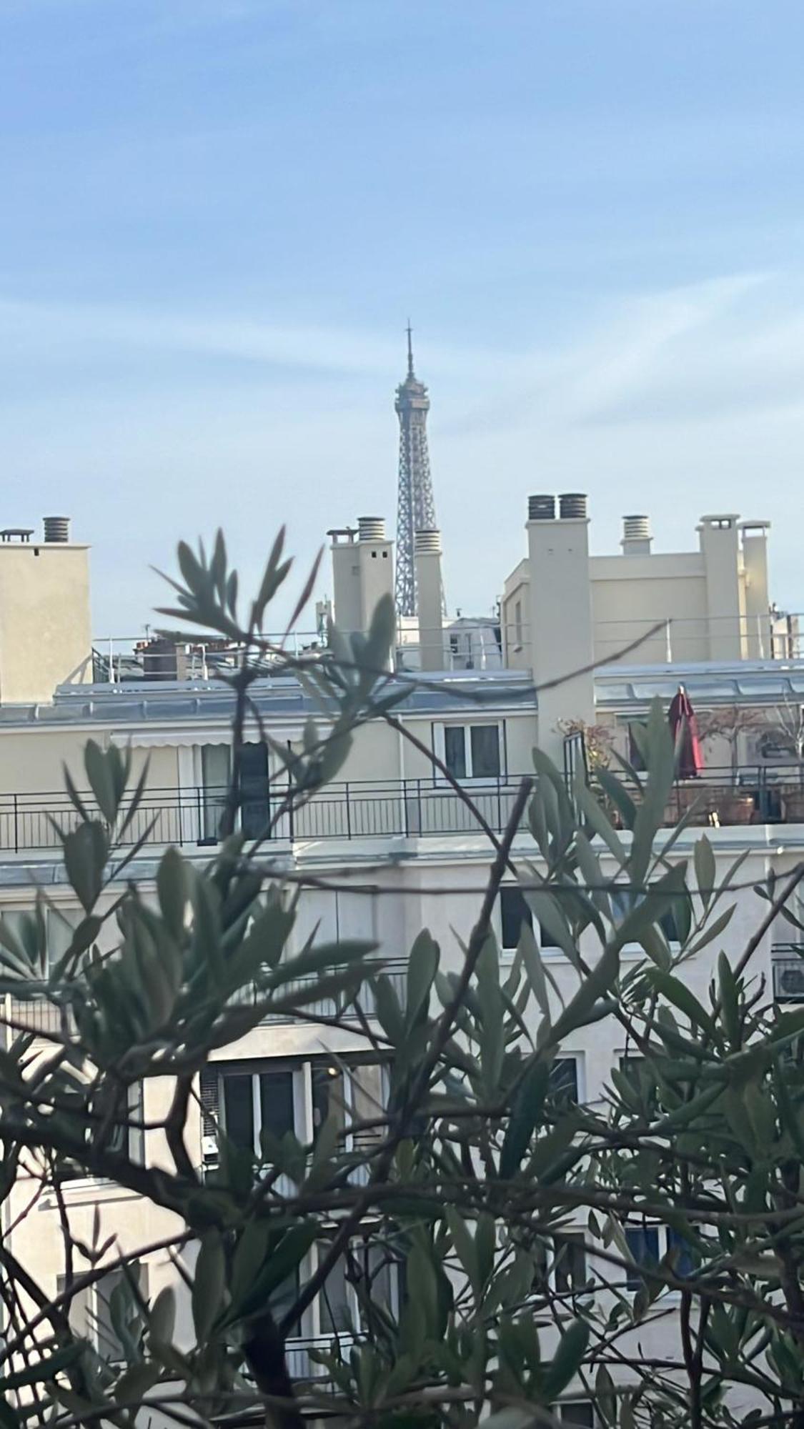 Terrasse Vue Tour Eiffel
